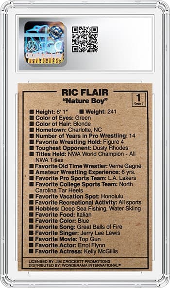 Ric Flair 8_1025865018_REV_tb20240906151815052.png