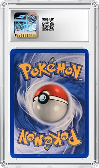 Torchic_BK_tb20250703161302585.png