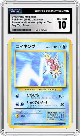 Magikarp_fr_tb20240508111134336.png