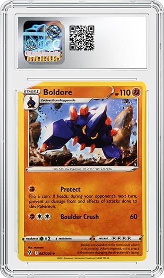 Boldore_Bk_tb20240529091559326.png