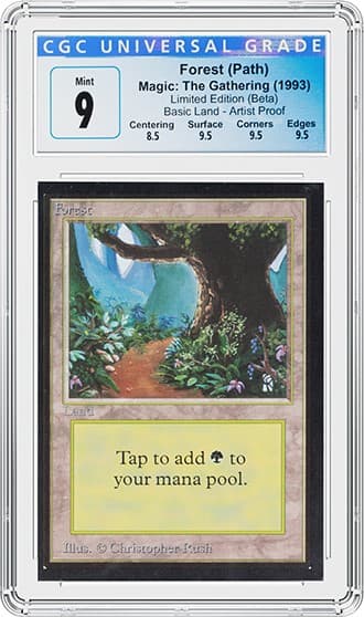 ForestPath_FR_tb20220817090212012.jpg