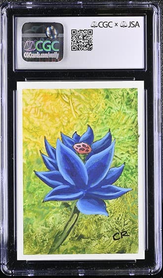 BlackLotus_BK_tb20240723090937967.jpg