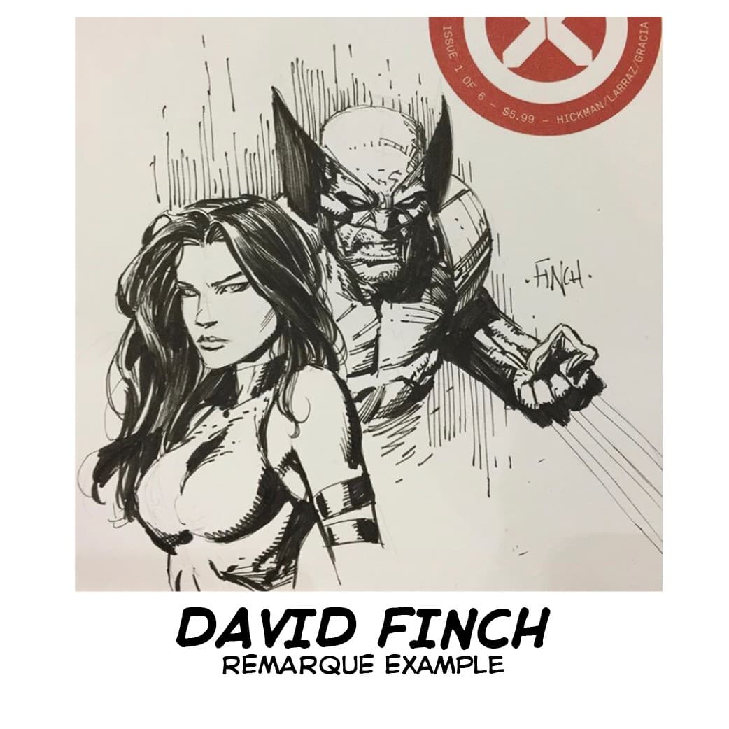 DAVIDFINCH-REMARQUE EXAMPLE20220915134925864.png
