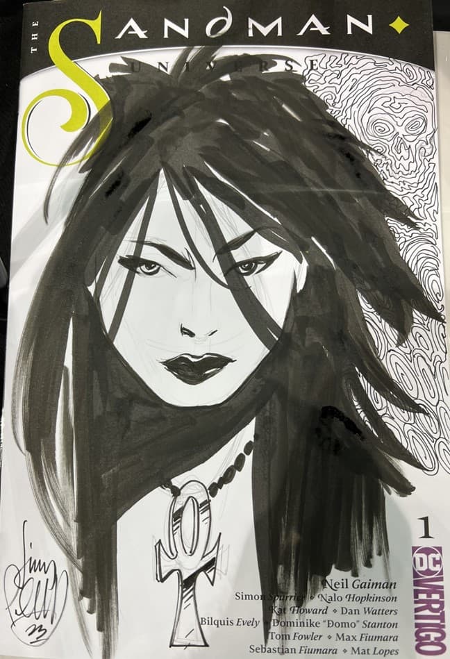 palmiotti blank remarque 220250506081359663.jpg