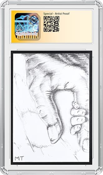 SplendidGenesis_bk_tb20240910135747551.png