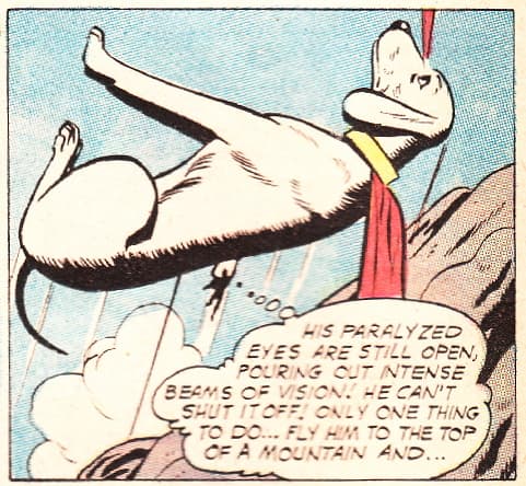 Krypto12.jpg