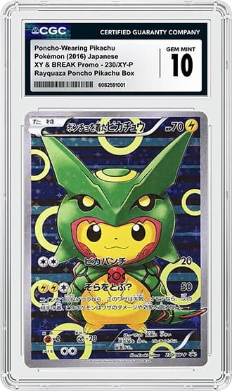 Poncho PIkachu_FR_tb20260904182850152.png