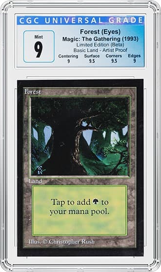 Forest(Eyes)FR_tb20220817090133741.jpg
