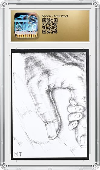 SplendidGenesis10_BK_tb20231103093202192.png