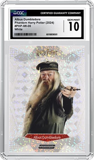 Dumbledore_FR_tb20250307110348073.png