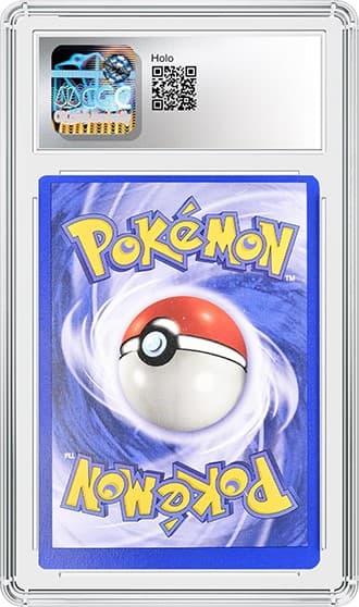 Charizard Error_BK_tb20260209143216541.png