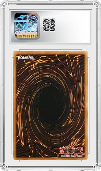 BlueEyes_Bk_tb20250407091614065.png