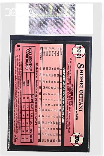Shohei Ohtani 6009464001_REV_Plastic_tb20241203170347423.png
