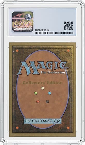 Blacklotus_Collectible_BK_tb20230208103433273.jpg