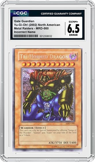 Gate Guardian_FR_tb20250724124821276.png