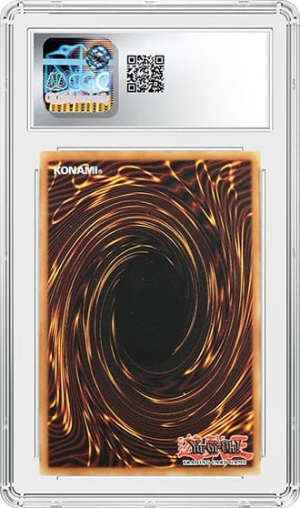 DMG_BK_tb20241106113303150.png