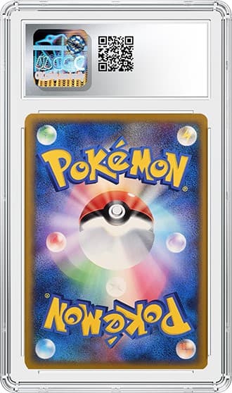 Zorua_BK_tb20231204151630471.png