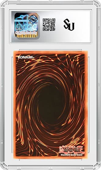 ThousandDragon_bk_tb20241104163113533.png