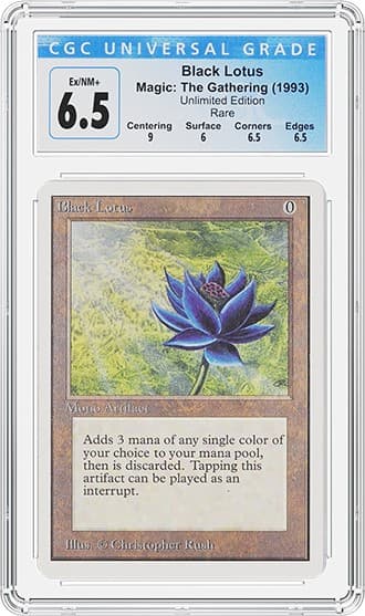 LOTUS_FR_TB20220208091244863.png