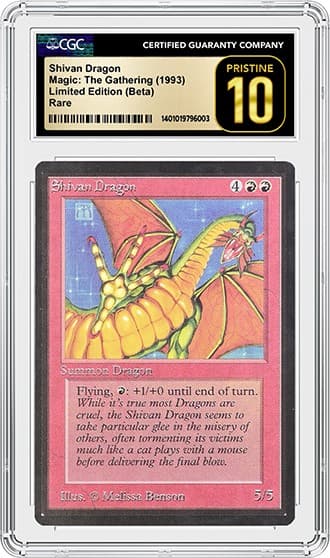 ShivanDragon_FR_tb20240905140338495.png