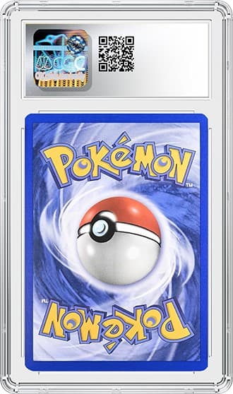 Torchic_bk_tb20240823111844728.png