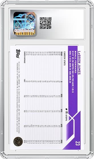 LeBron James_bk_tb20250530140316119.png