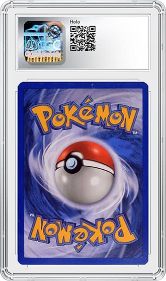 Charizard_bk_tb20241108133953890.png