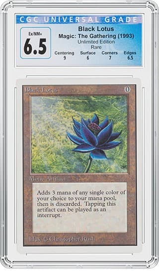 BLACKLOTUS_65_FR_tb20220613103114914.jpg