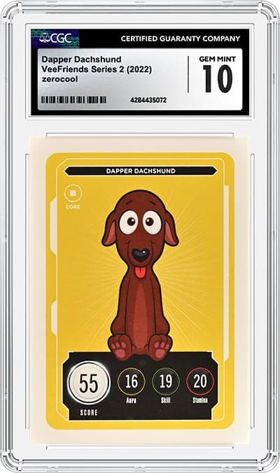 Dapper Dachshund_4284435-072_OBV TB20230822103706059.png