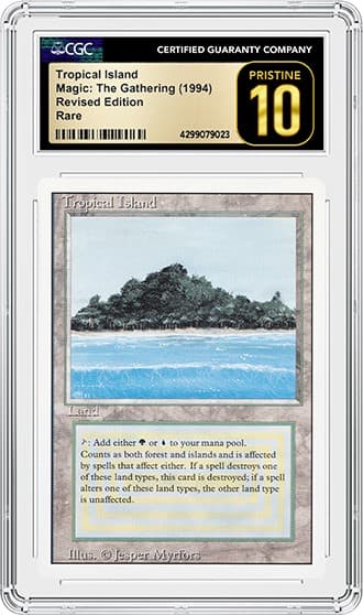 TropicalIsland_FR_tb20231110093840405.png
