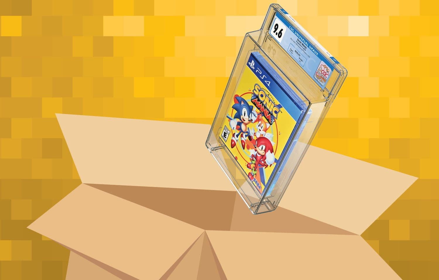 VG_SHIPPING_BACK_1500px_ee3c2dbdd2.jpg