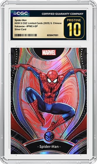 Spider-Man Silver_FR_tb20250711124426037.png