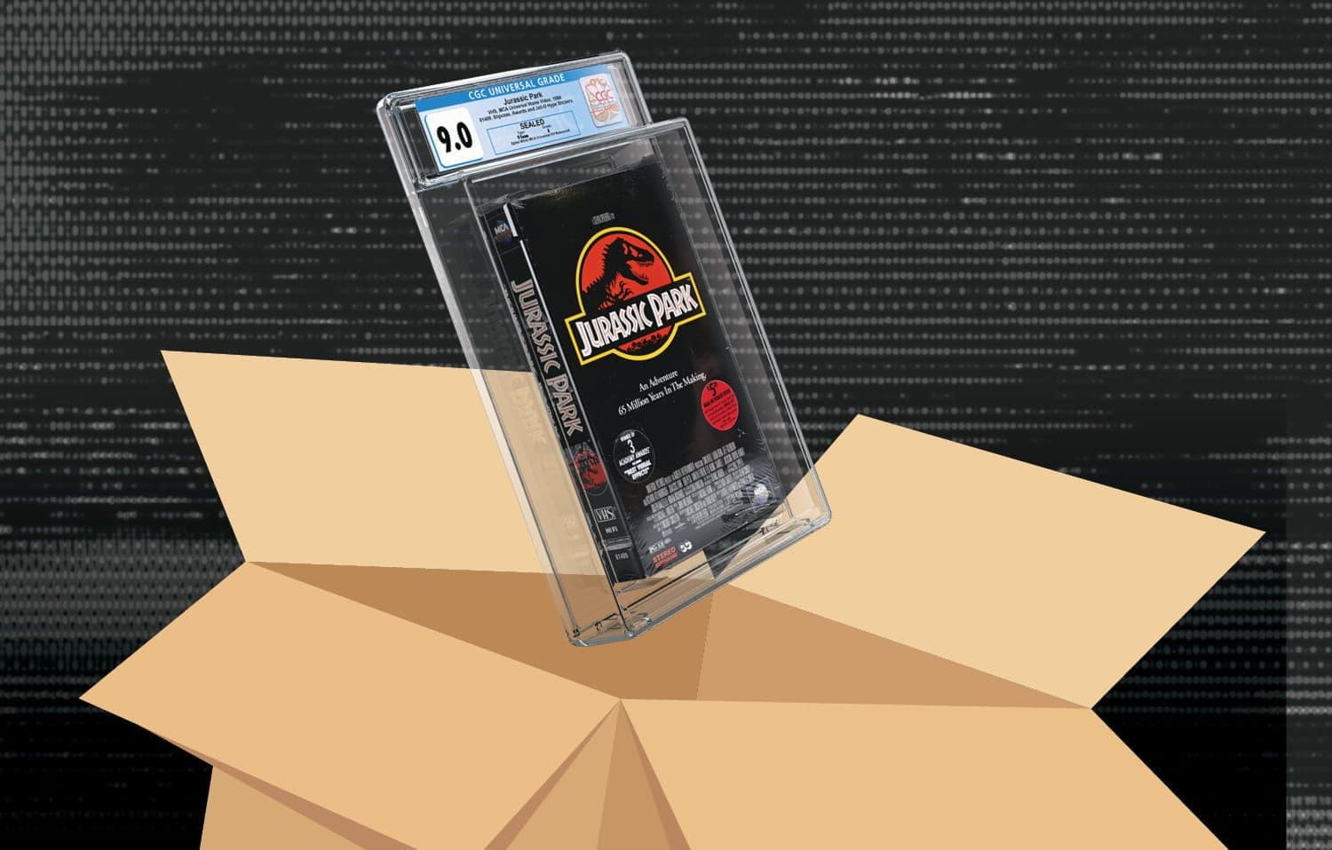 CHV_BOXSHIPPING_BACK_1500px_609445681d.jpg