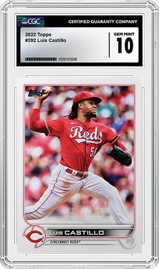 Luis Castillo 10_1029103048_tb20240227163638364.jpg
