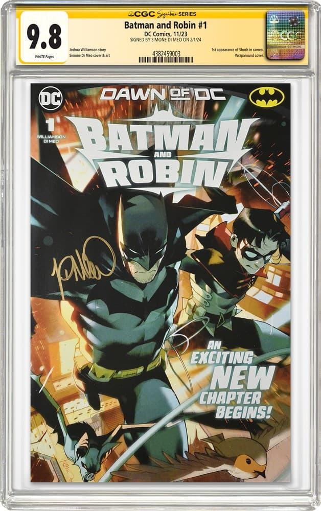 Batman and Robin 1_9.8_4382459003_SS20260813204918804.png