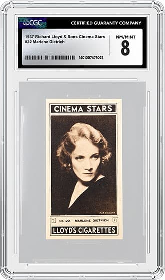 Marlene_FR_tb20240604135130604.png