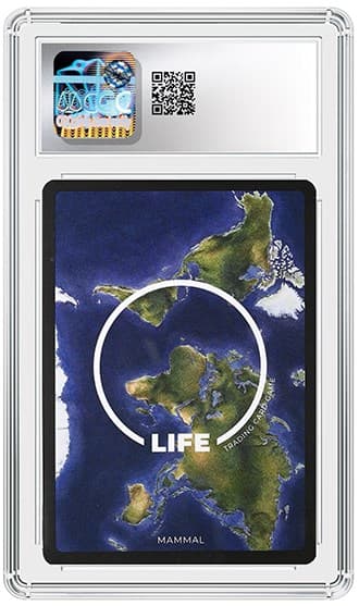Red Panda_BK_tb20260609135011668.png