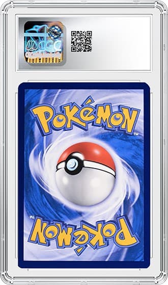 RareCandy_bk_tb20250210124132607.png