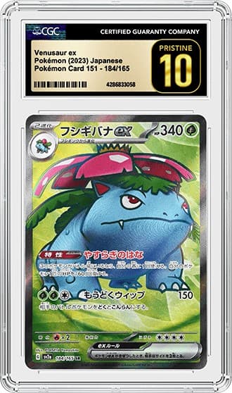 Venusaur_fr_tb20240903113622575.png