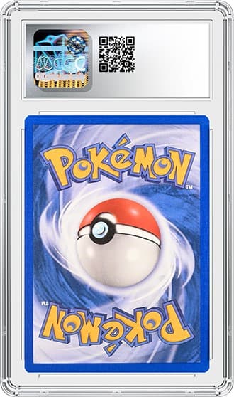 Tropical Wind_REV_tb20231108143611875.png