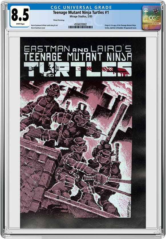 Teenage Mutant Ninja Turtles 1_8.5_4556020002_WEB (1)20250428074615435.png