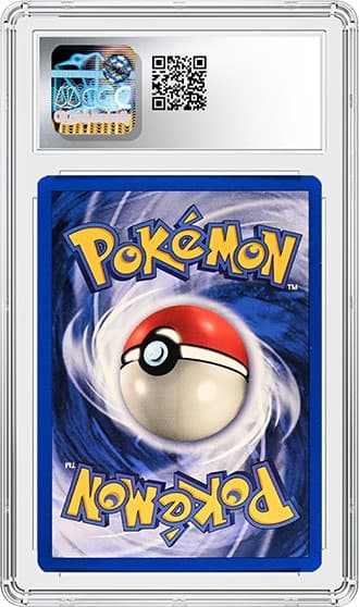 Machamp_Bk_tb20240205153200379.png