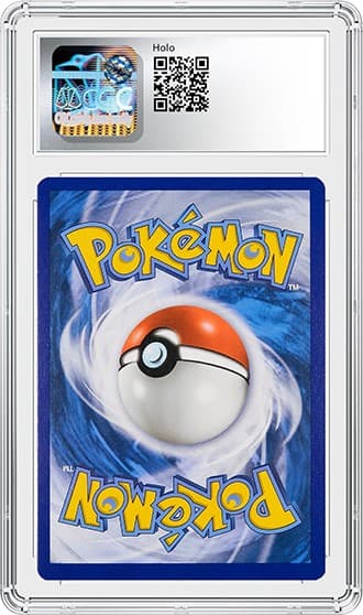 Zapdos_bk_tb20240823090141579.png