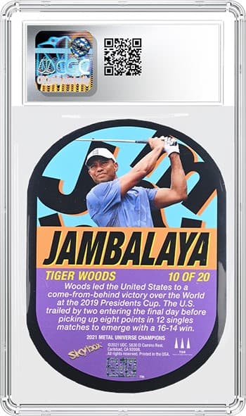 Tiger Woods 9_1401001798021_REV_tb20250402171137055.png