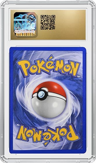Charizard_bk_tb20240913123656821.png