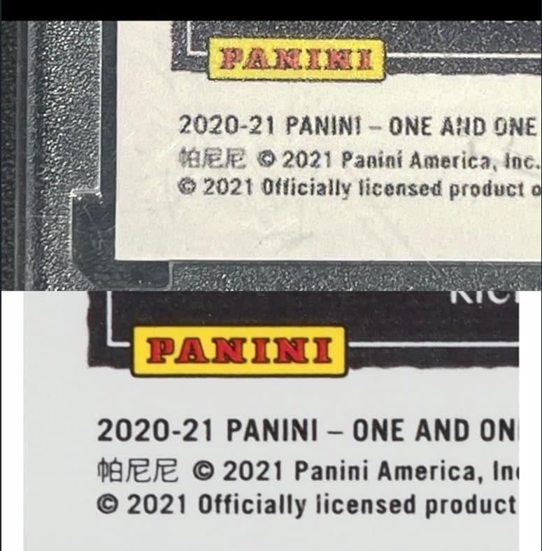 Panini_Back_LowerLeft20250108142444253.png