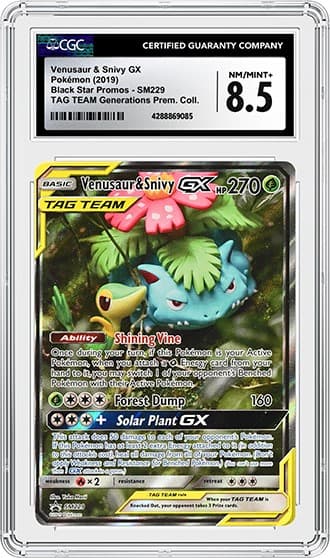 Venusaur_FR_tb20240607121835365.png