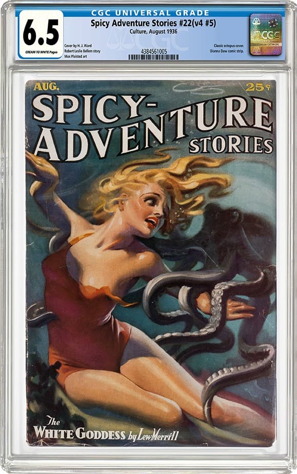 Spicy Adventure Stories 22 v4 5_6.5_4384561005_web20250127102947618.png