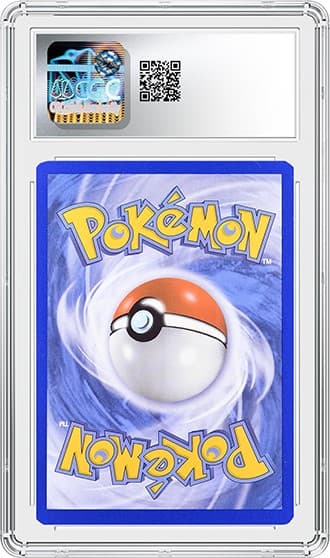 Mew_BK_tb20241216151544316.png