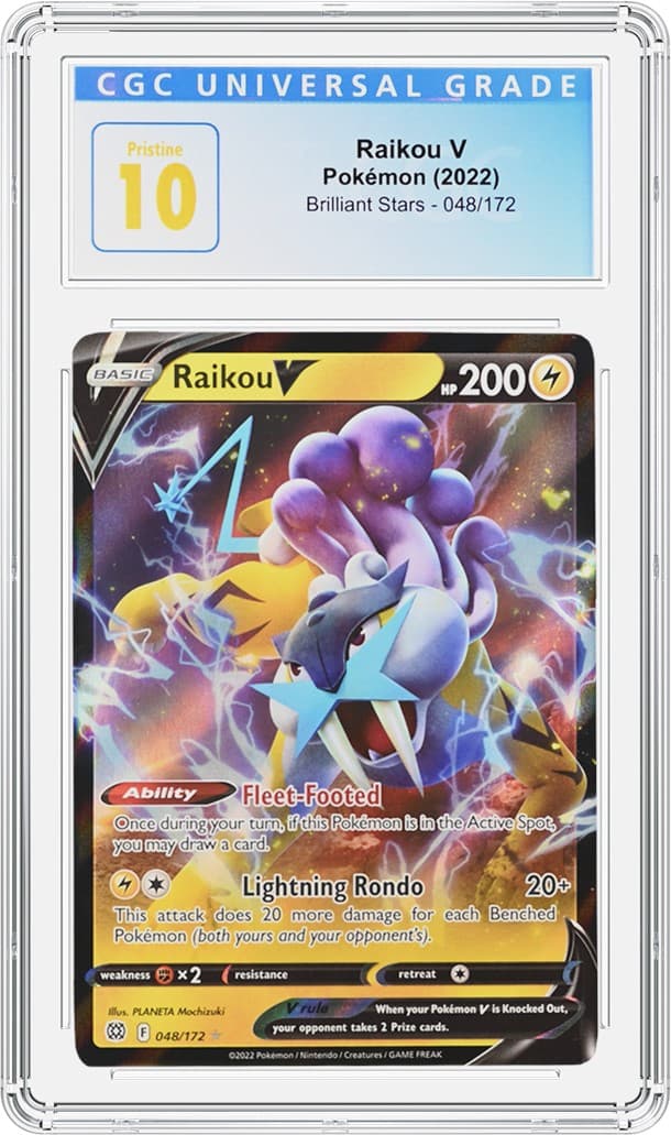 Raikou V_REV20230511120454646.png